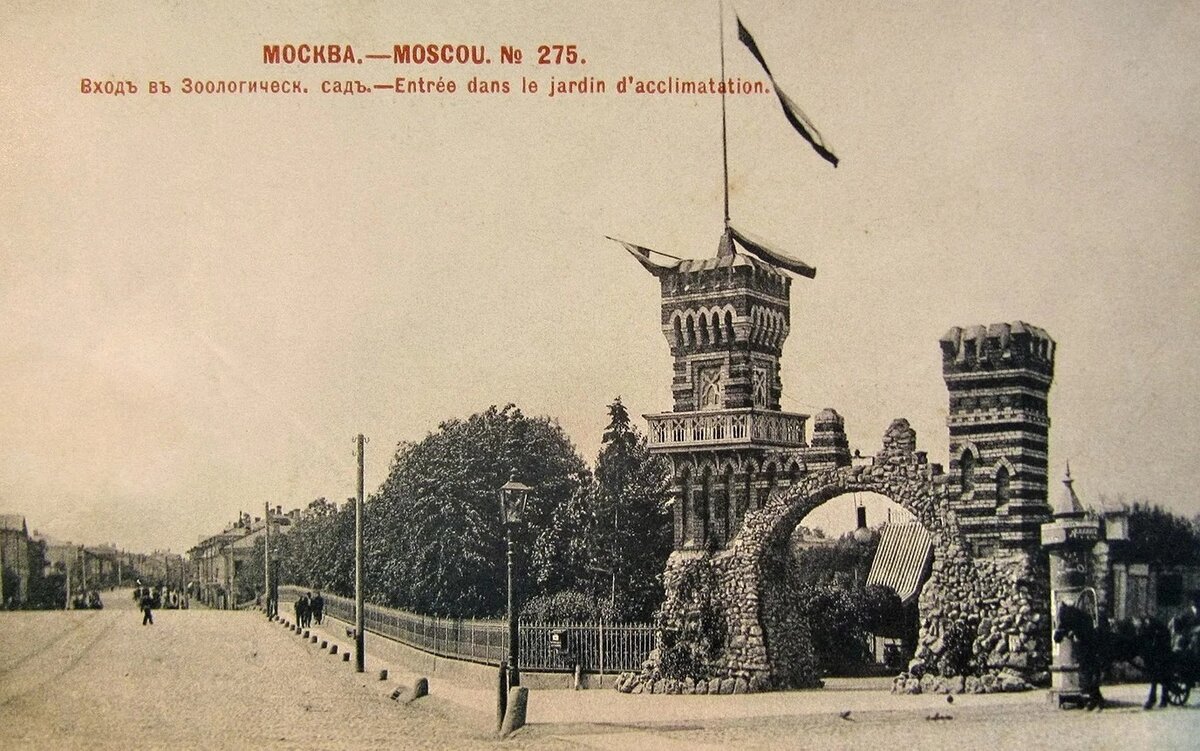 Сафари парк натура вива. Ленинградский зоопарк вольер тигра. Зоопарк кхао кхео. Кем был организован зоосад в середине. Кем был организован зоосад в середине.