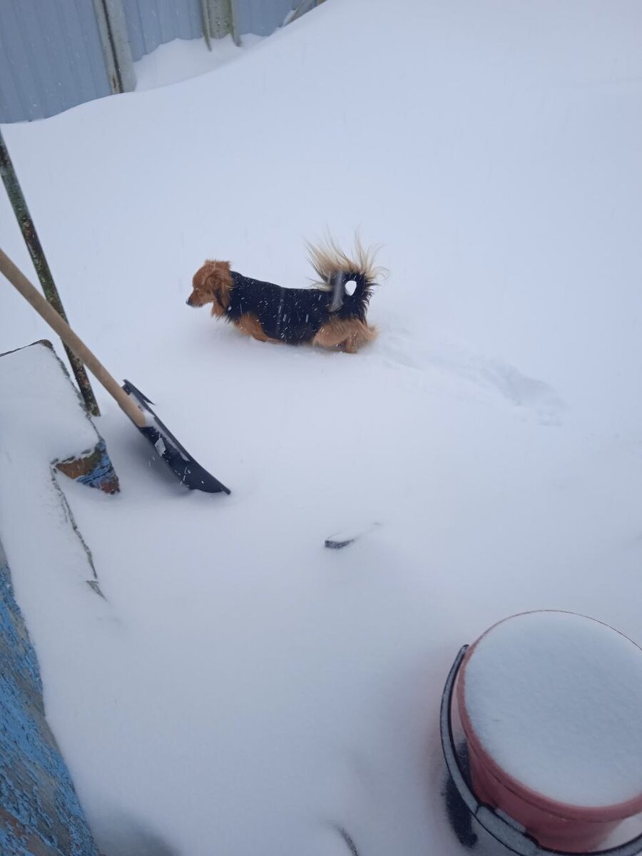 Фото автора