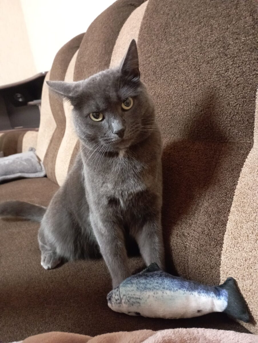 Я же знаю, что она не настоящая! Чего ты мне голову морочишь! 