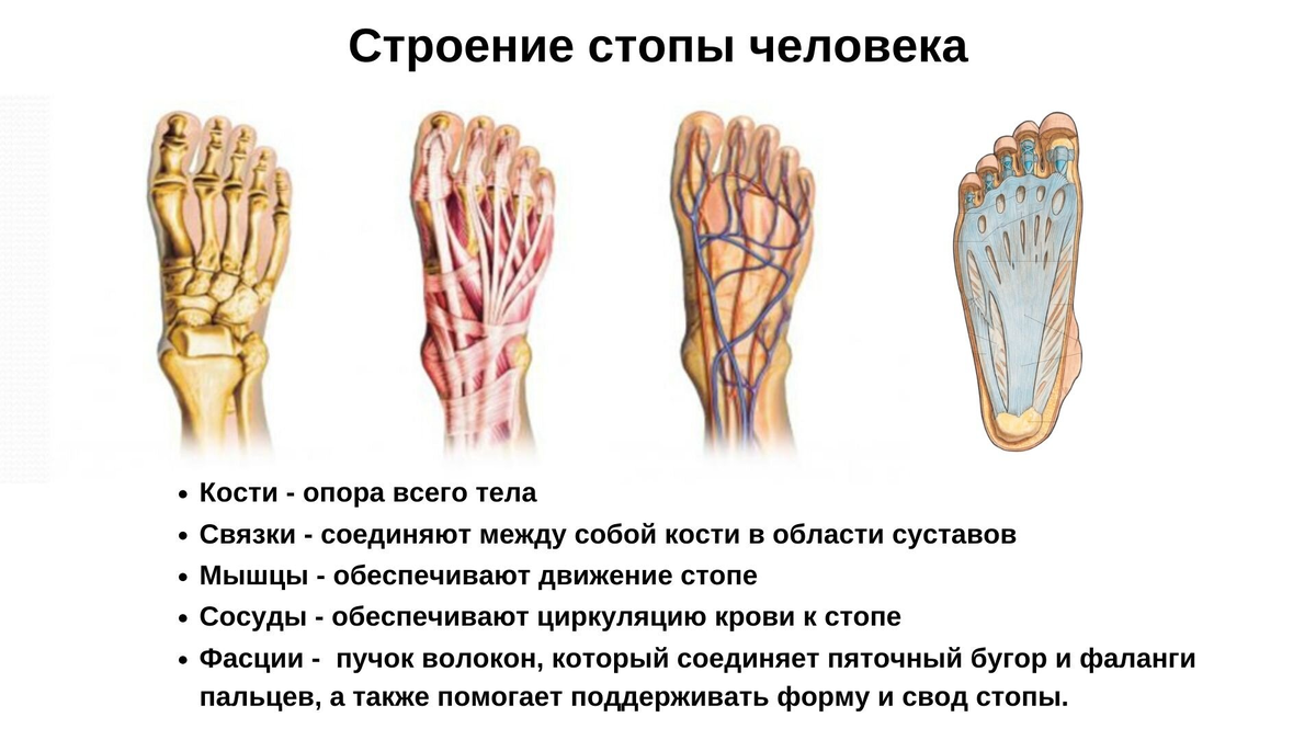 Фасция всего тела от мизинца до макушки - едина. И, если на стопе она стянута, то происходит перераспределение натяжения по всему телу!-2