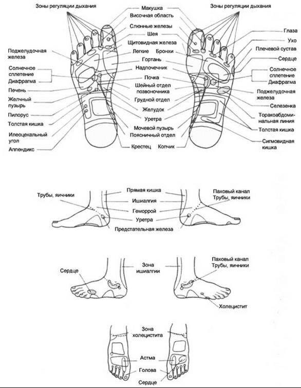 Что означают точки на ногах. Рефлекторные зоны стоп схема. Схема рефлекторных точек стопы. Ступня рефлекторная зона. Точечный массаж рефлекторные зоны.