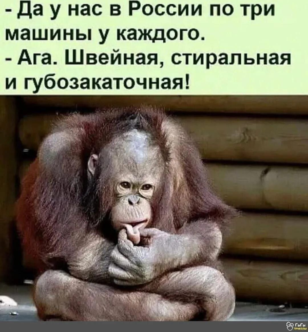 Юмор в картинках с надписями до слез про жизнь