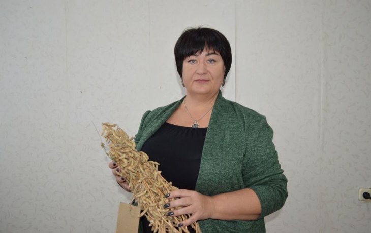    Селекционеры сои из Поволжского НИИСС на пороге создания нового сорта