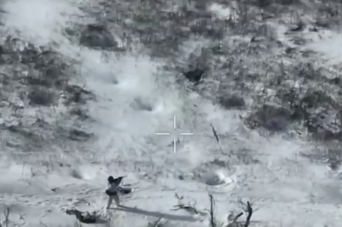    «Он у меня ничего не боится».