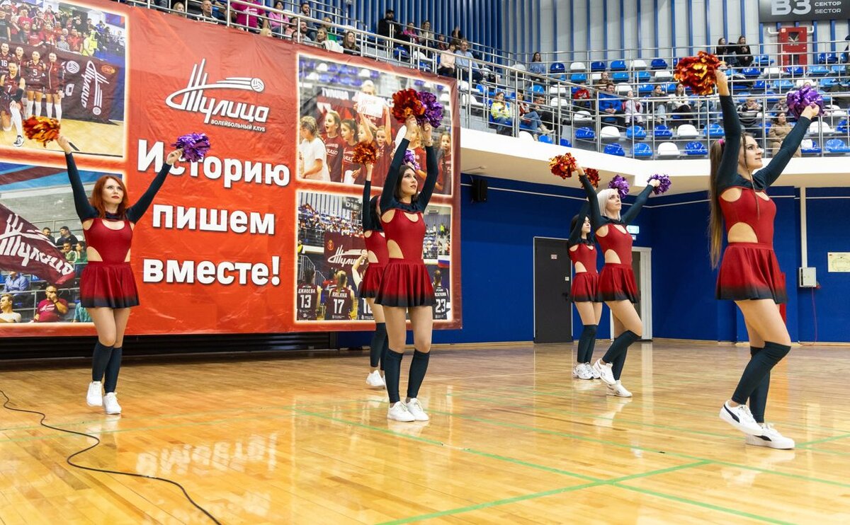 В Туле пройдёт кастинг в группы поддержки ВК «Тулица» и ХК «Академия  Михайлова» | Myslo.ru | Дзен