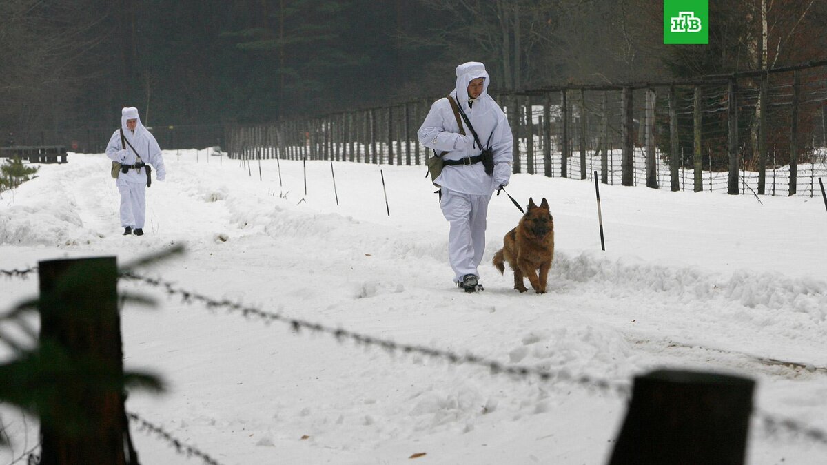    Фото: РИА Новости © 2024, Егор Еремов