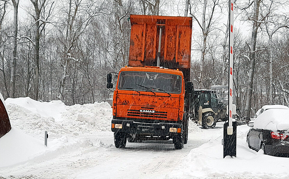 В Нижнем Новгороде - сутки снежного безумия. Сильнейшая за последние  полтора века метель накрыла город, вызвав транспортный коллапс. | В поисках  лучшего | Дзен