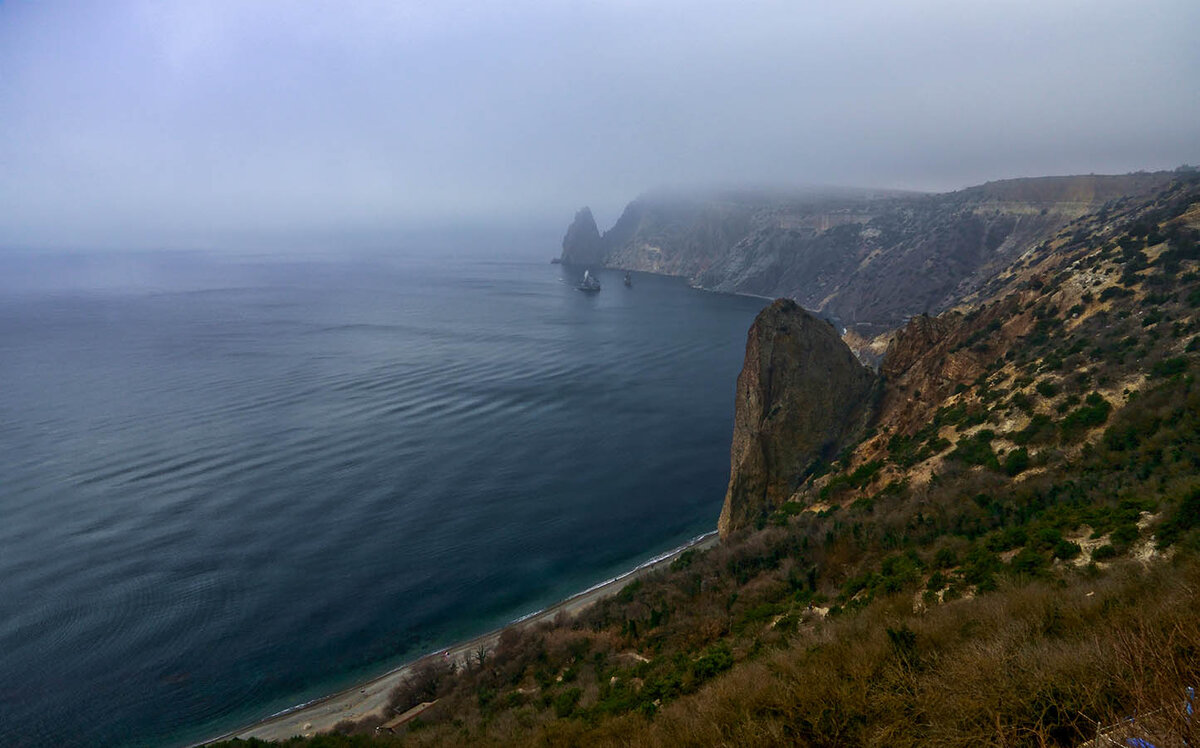 выставка пауков севастополь 2023. выставка пауков севастополь 2023. выставка пауков севастополь 2023. выставка пауков. Spider planet.