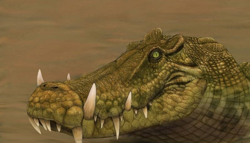 �������� � ���������� �����