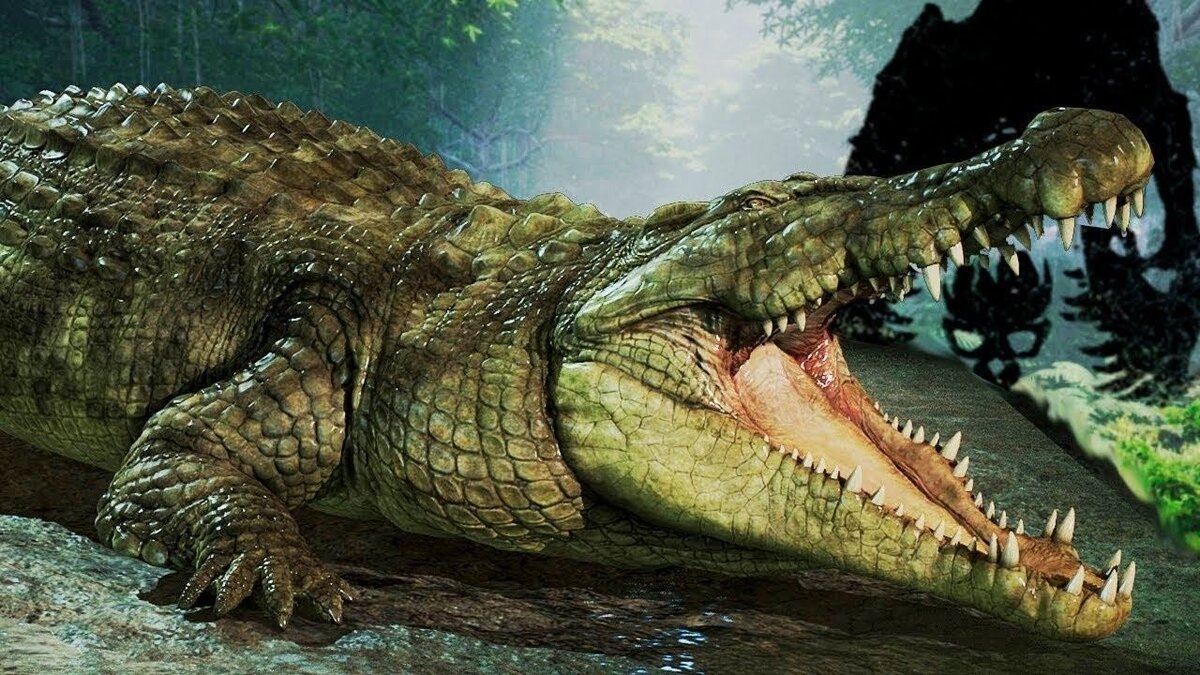 ������� ������ �������� ��� �������� ������� ������