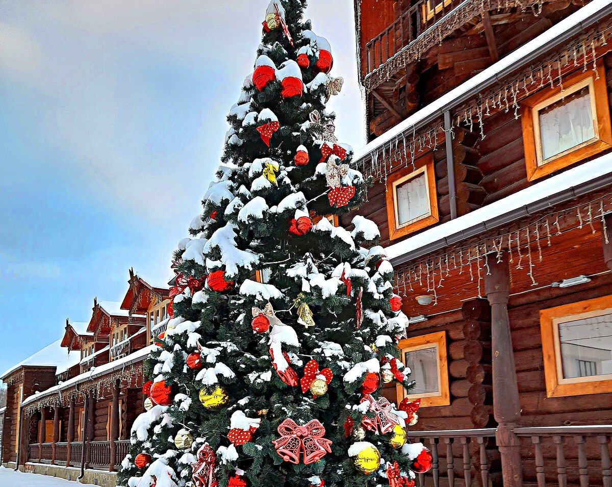 Фото принадлежит автору канала.