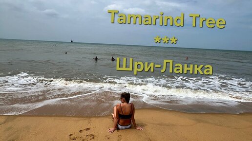 Впечатления об отдыхе на Шри-Ланке в Tamarind Tree 3*