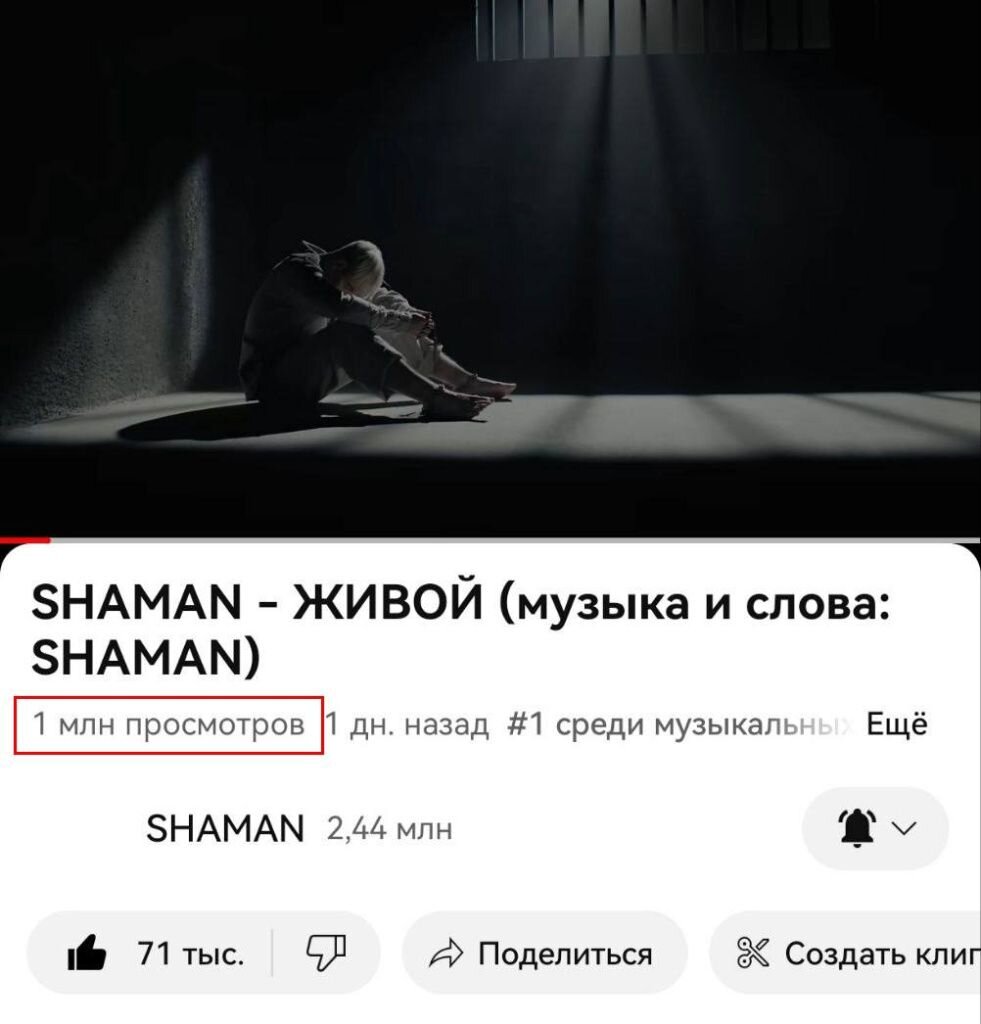 Количество просмотров песни "Живой" Источник: t.me/shaman_channel Автор фото: Ярослав Дронов📷
