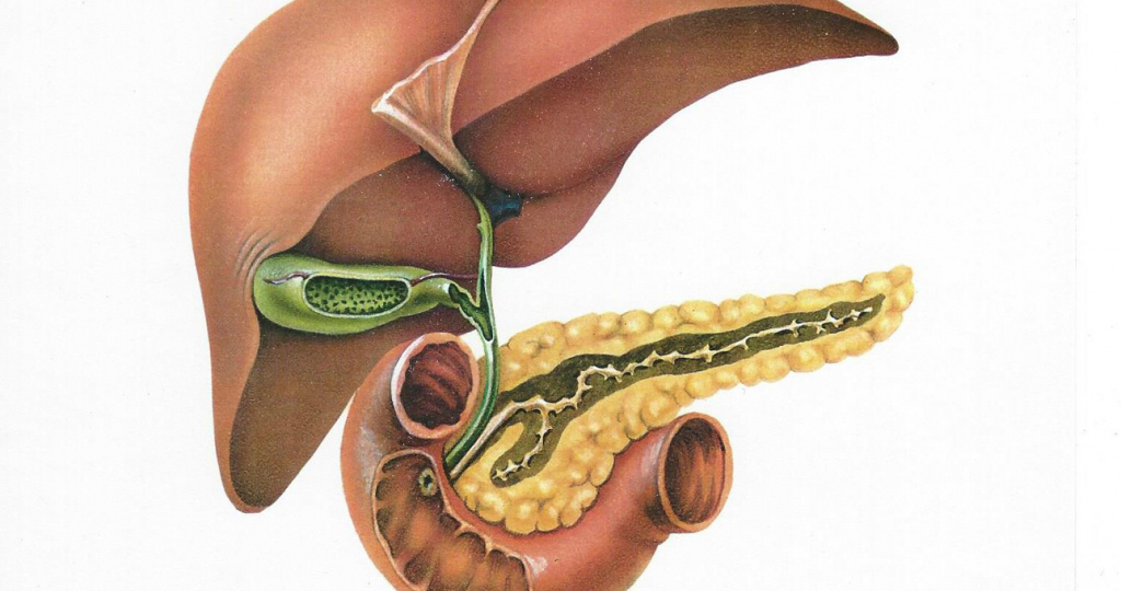 Билирубин: полный гайд по соединению. Часть 1 – Что это такое и зачем он человеку