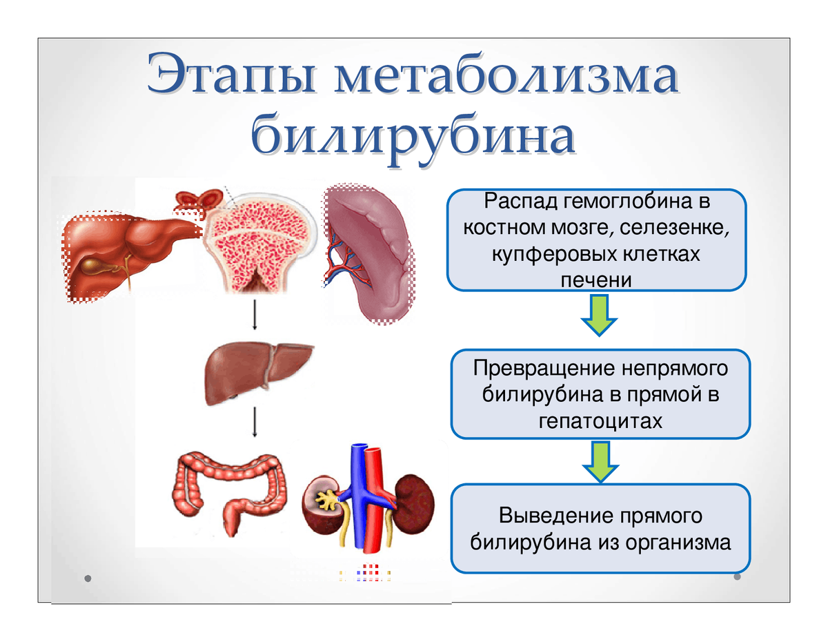 Печеночно клеточный