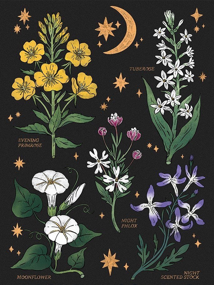 Фото из доступных источников