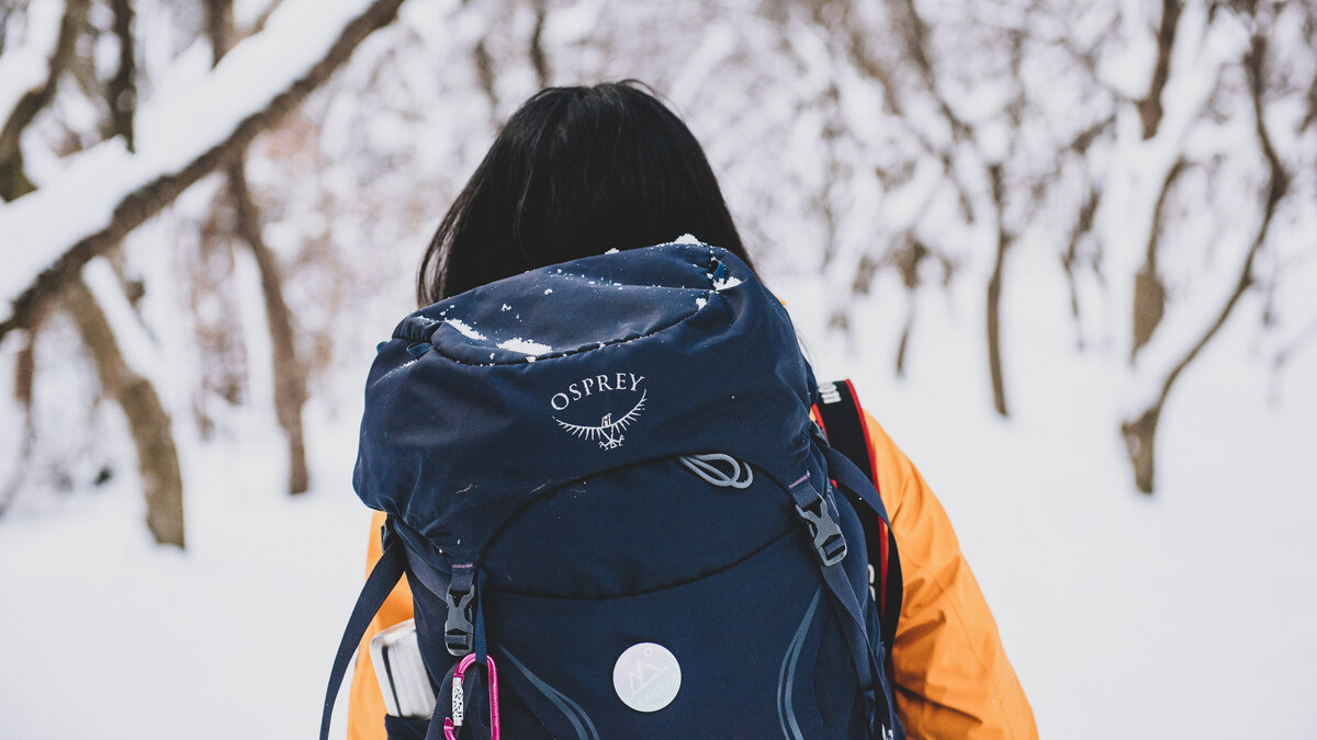 Фото: Suhyeon Choi/unsplash.com