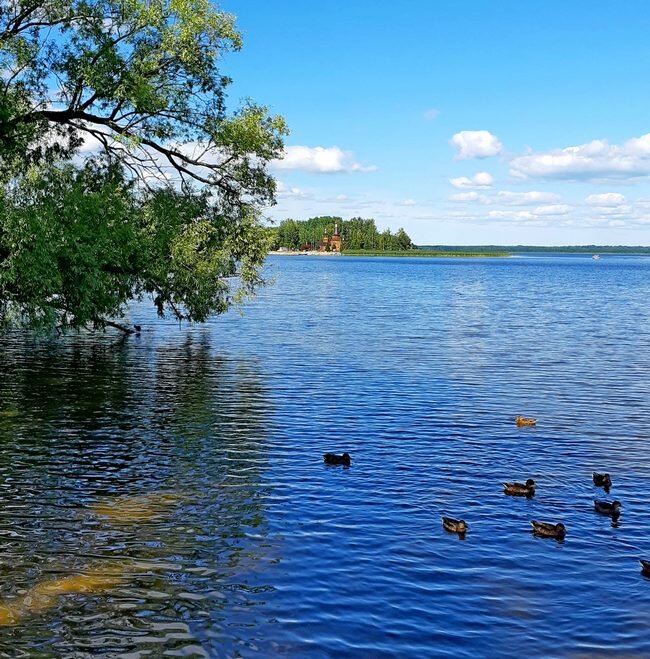На Житенном острове /фото из личного архива/