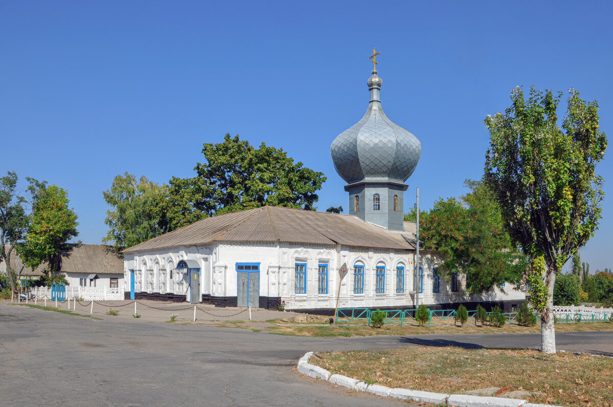 Верхний рогачик фото