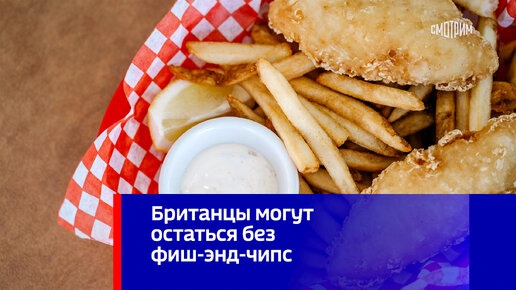 фиш энд чипс адлер после ивлева. кафе фиш энд чипс сочи. фиш чипс подача в ресторане. фиш энд чипс от ивлева. Fish and chips адлер.