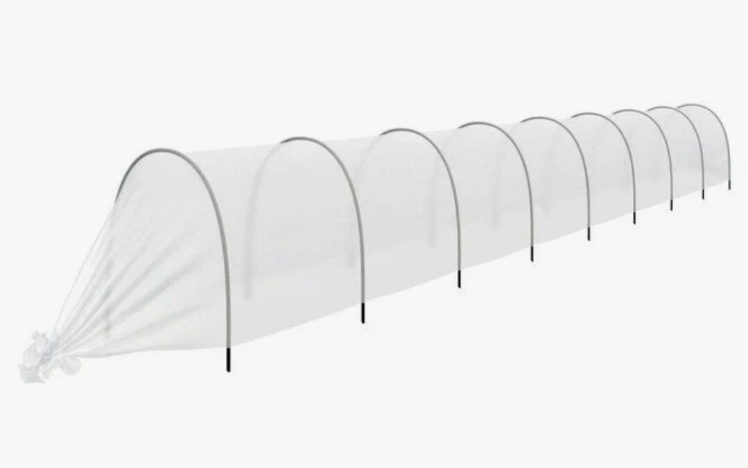 Фото из открытого источника