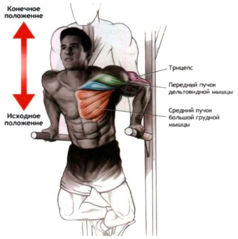 Источник фотографии: Яндекс картинки 
