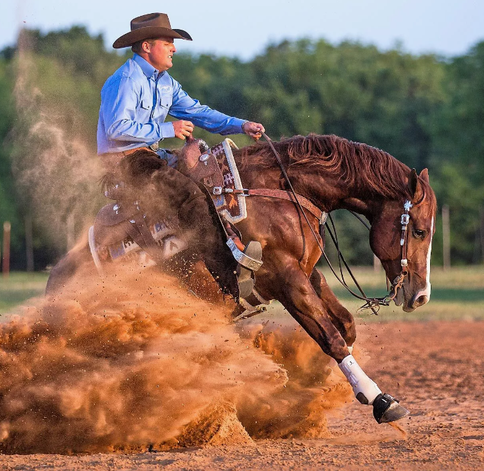 Конный спорт дону