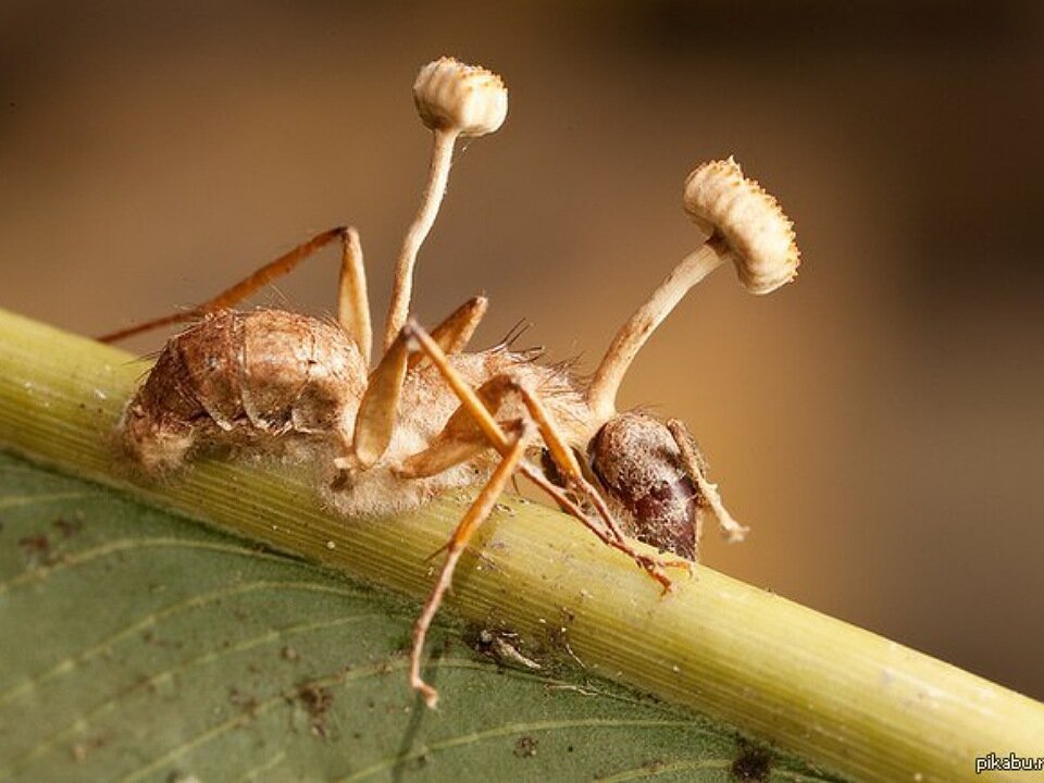 Фото из свободных источников