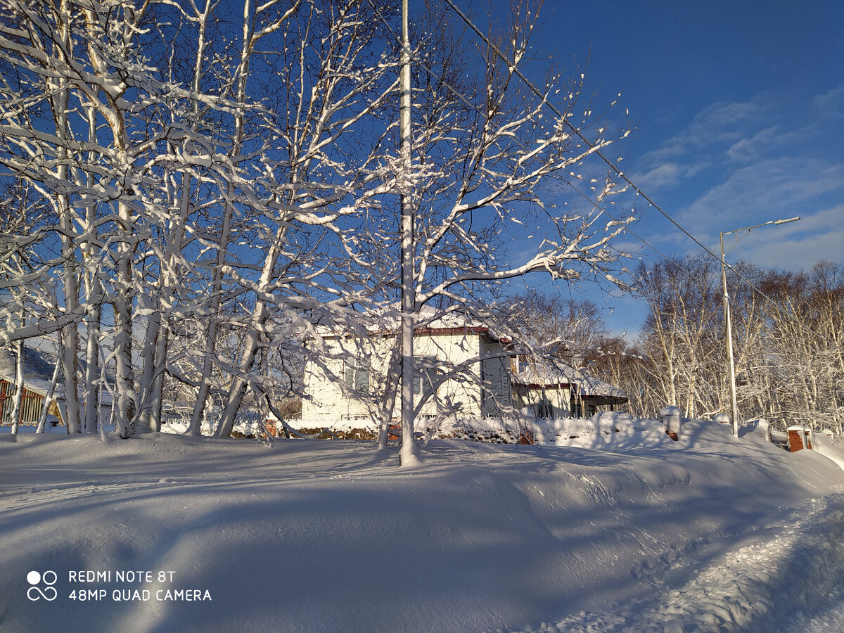 Председатель СНТ, - Мы вам штраф выписали за снег. Оплачивайте или ...