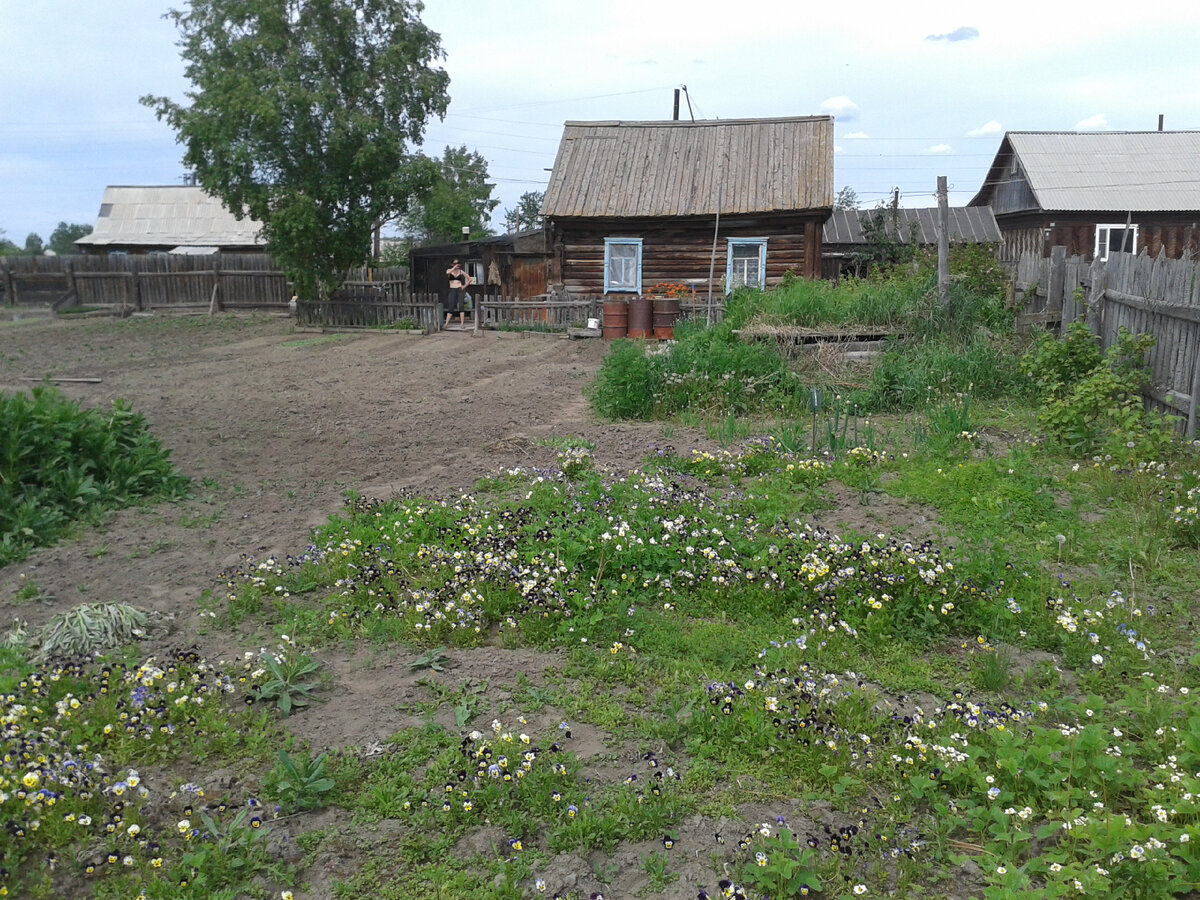 Председатель СНТ, - Мы вам штраф выписали за снег. Оплачивайте или будет  пени. Какой штраф? Я на даче то не была, - расстроилась дачница | ПРАВОЗНАЙ  | Дзен