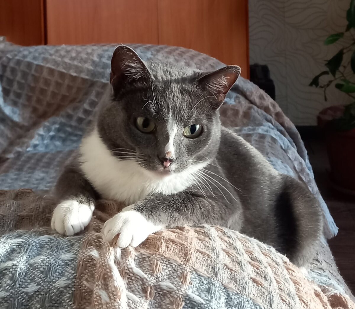 Василиса стала просто красавицей