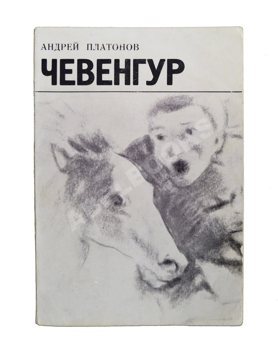 Обложка первого полного издания книги "Чевенгур" издательством YMKA-Press. Фото взято с ресурса Яндекс.Картинки 