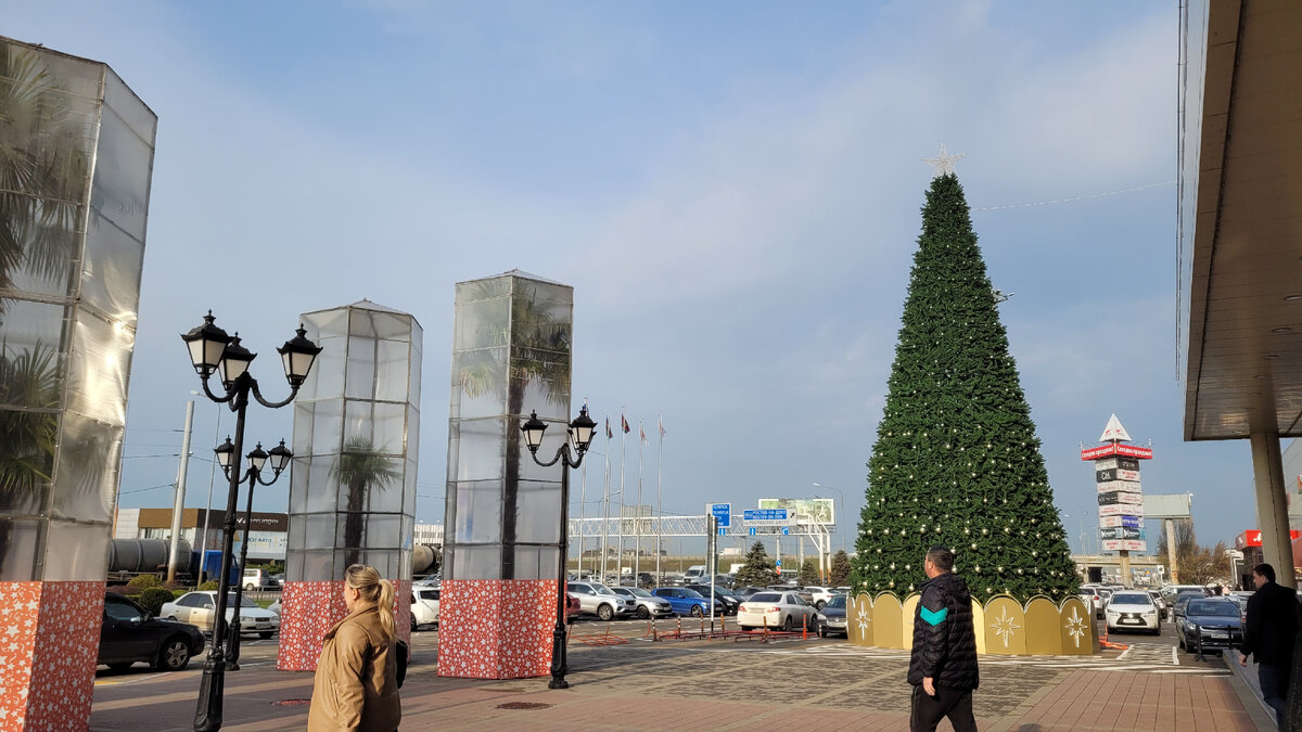 Елка и пальмы у входа в торговый центр "Красная площадь"