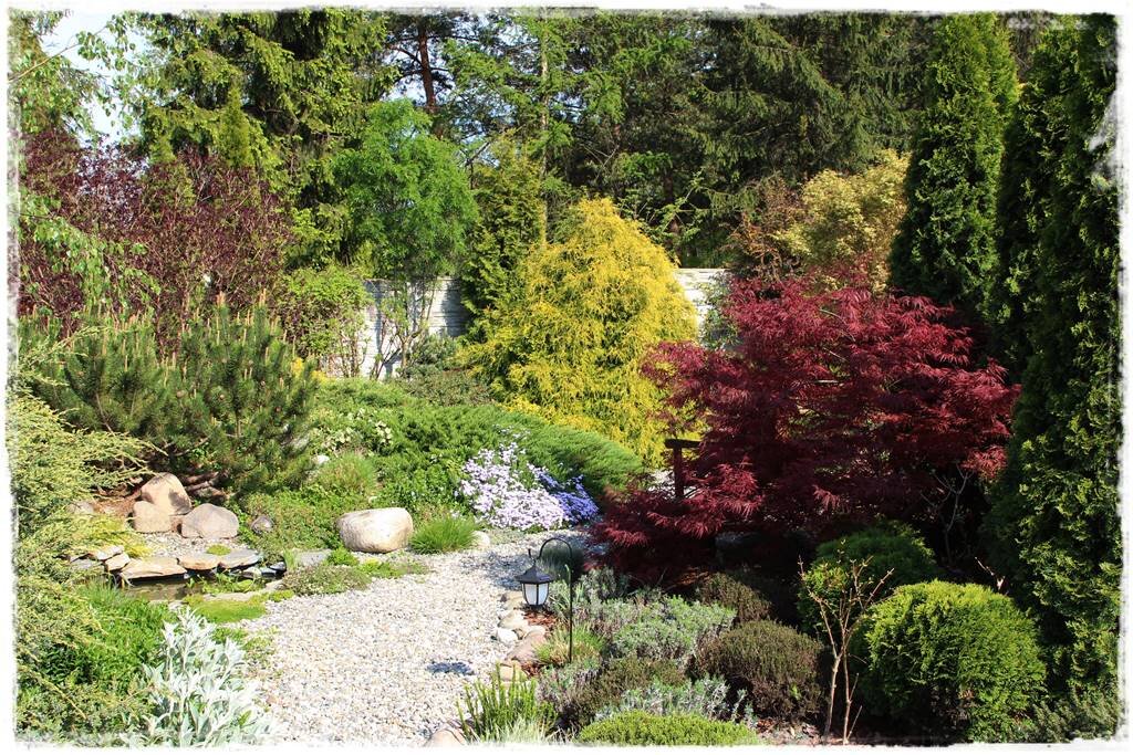 деревья, ку, тарники, травы. кустарники деревья травы к какой группе. деревья, ку, тарники, травы. кустарники деревья травы к какой группе. деревья кустарники травы.