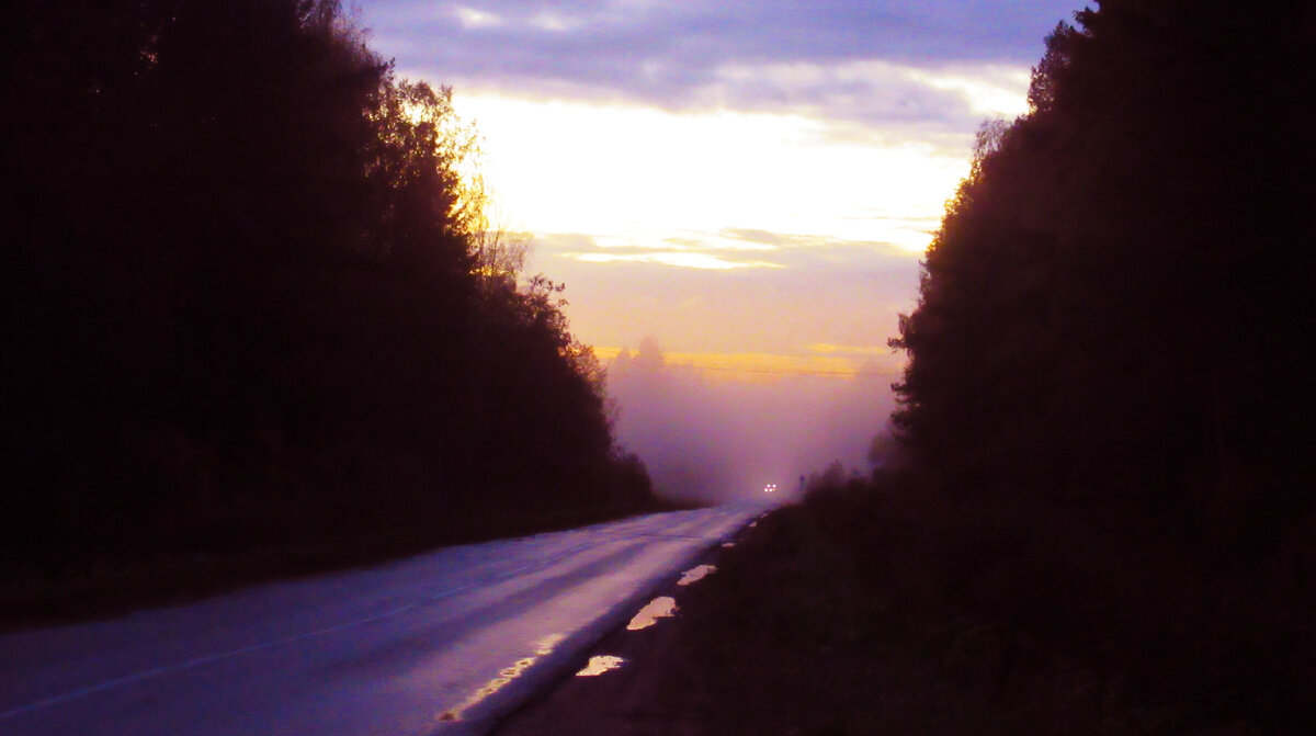 Дорога в новую жизнь. Утро в пути. И снова в дорогу. И снова в дорогу. Путь заново.