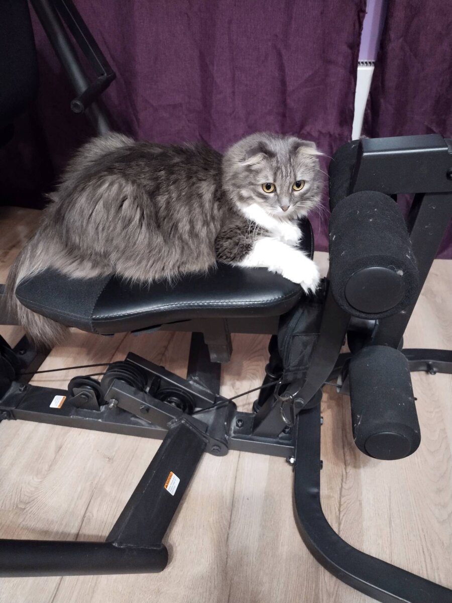 А эта ни себе ни людям