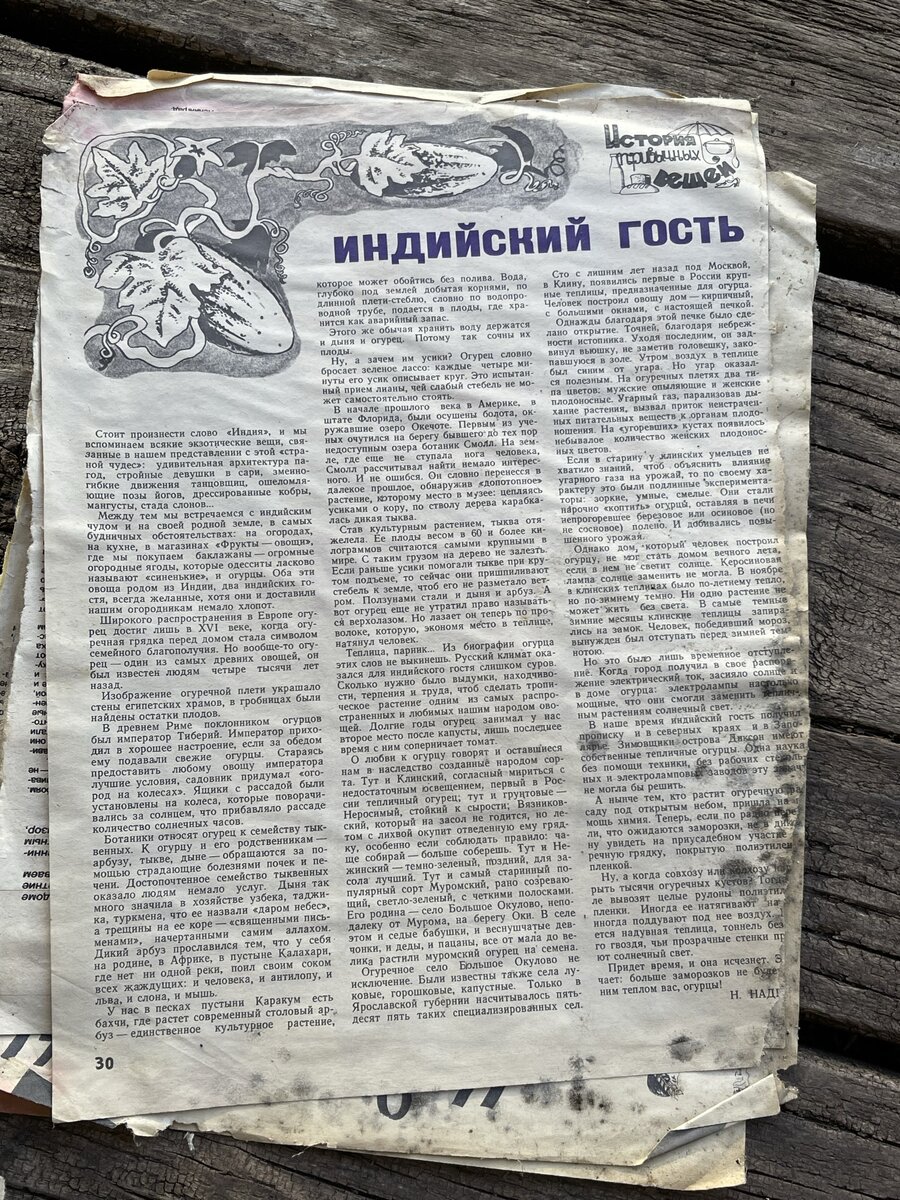 Даже если их выкидываю из за следов плесени, то часто зависаю, чтобы прочесть интересные статьи 😂