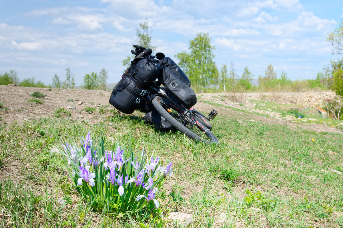 Фото автора.