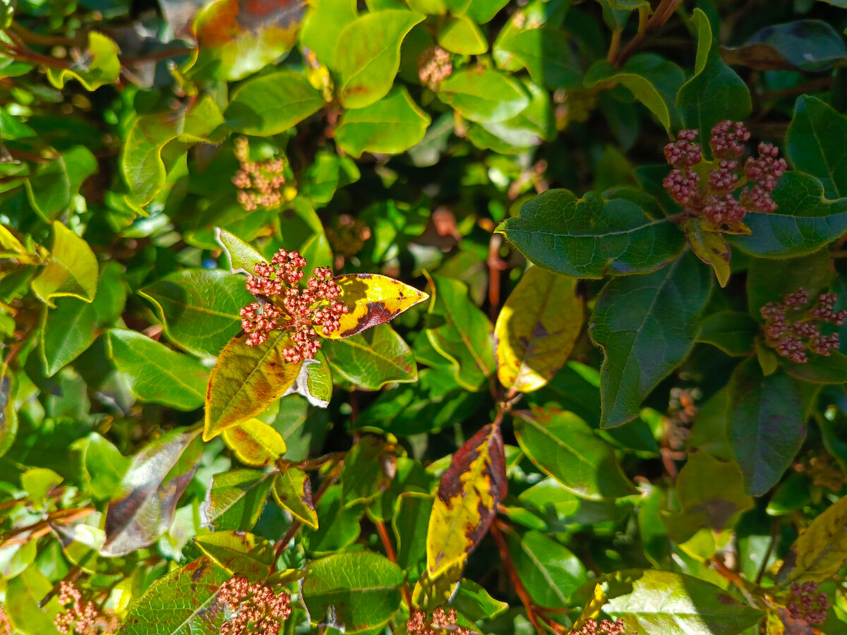 зал театр мусы джалиля казань. опера кероглу картинки. балет корсар театр оперы и балета. театр оперы и балета воронеж лебединое озеро. постановки оперы и балета в новосибирском театре.