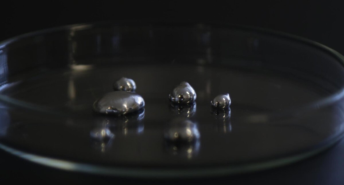 By University of Sydney, Philip Ritchie