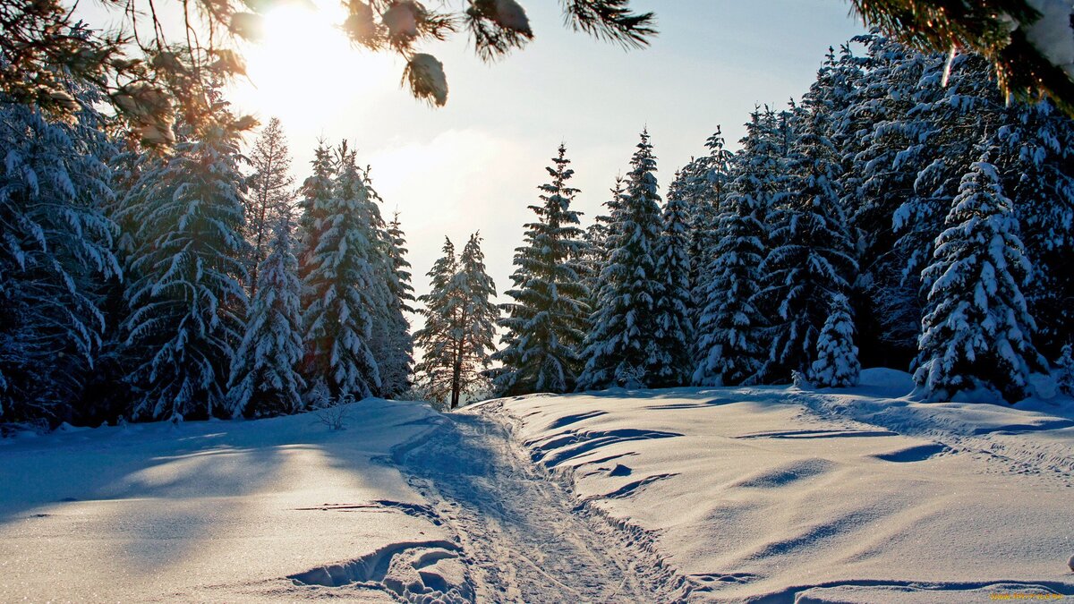 http://priroda.club/uploads/posts/2021-11/1638098828_118-priroda-club-p-les-zimoi-priroda-krasivo-foto-128.jpg картинка из и-нета для превью