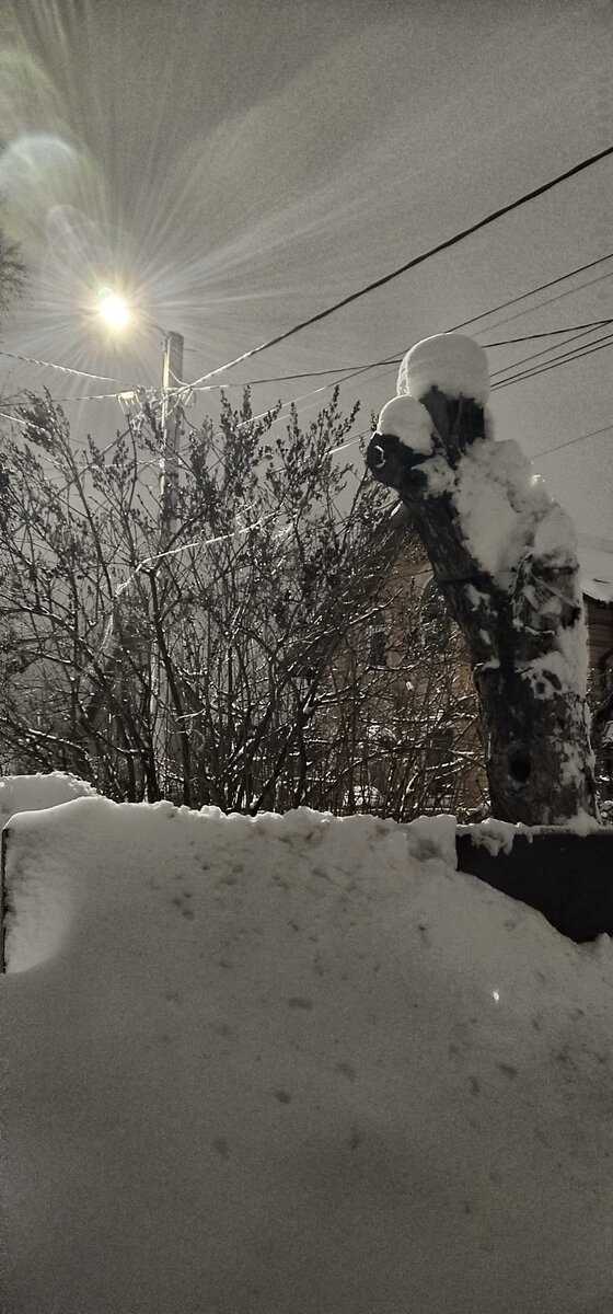 Личное фото