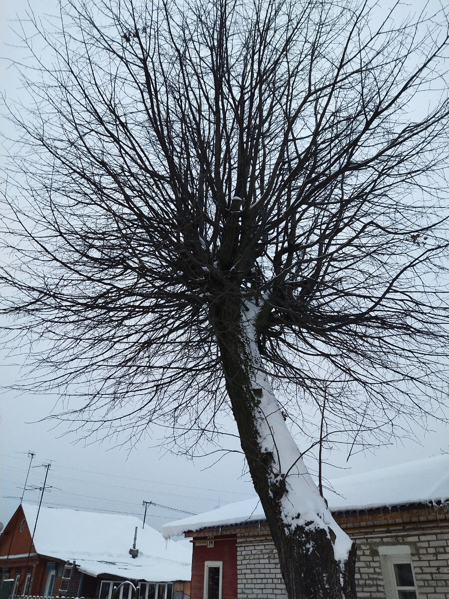 Личное фото