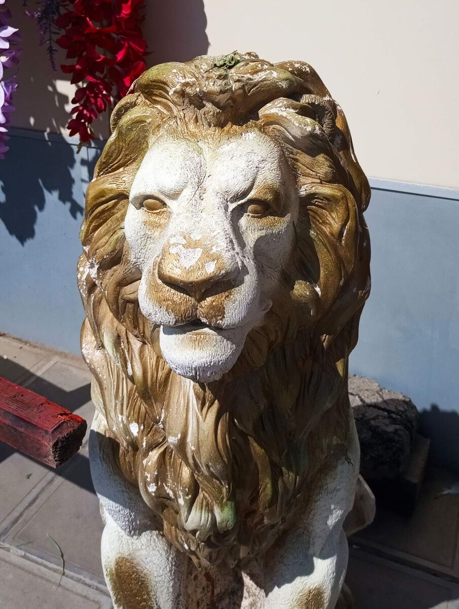 Фото автора. Лев Льву поневоле брат. 