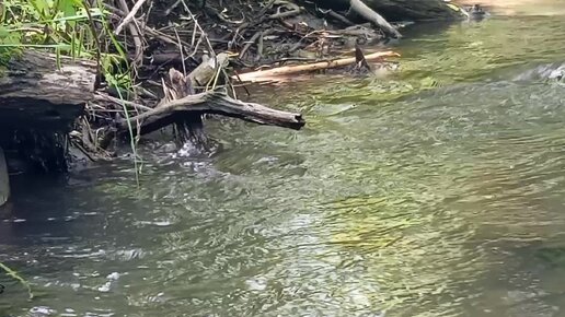 Мягкое журчание воды , чтобы расслабиться и заснуть