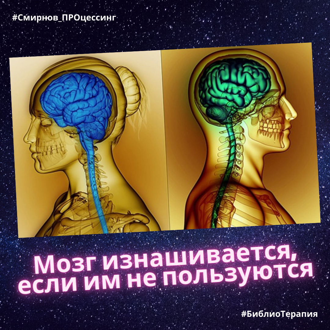 Как работает наш мозг книга. Роль мозговых структур в процессе мышления. Задачи для мозга. Как использовать возможности мозга по максимуму. Дэвид рок мозг.