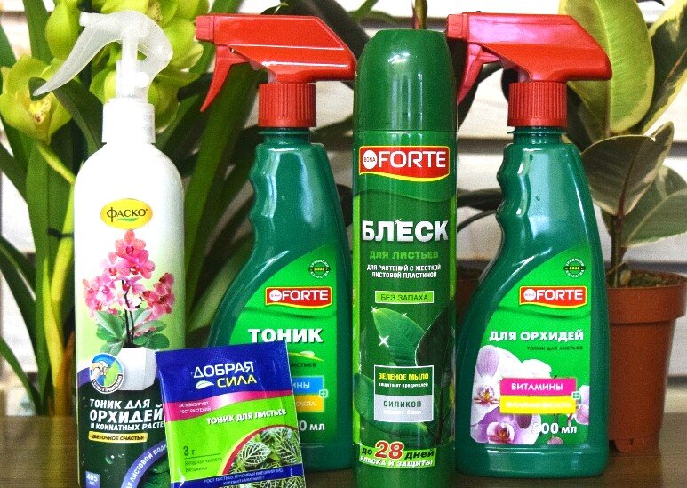 Фото из открытых источников.