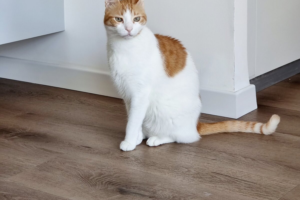     Как быстро и просто почистить плинтус: десять простых советов