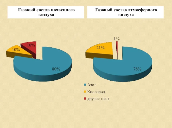 В состав 10% почвенного воздуха входит и этилен