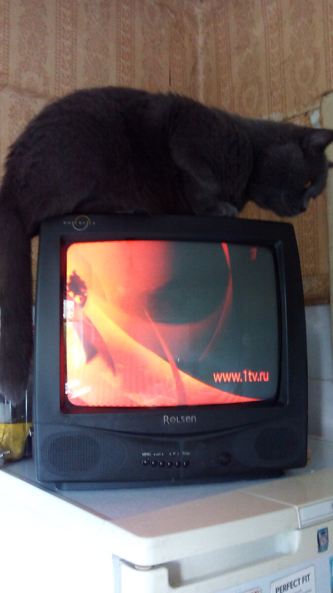 Фото автора.